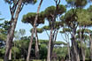 Il Parco Villa Borghese